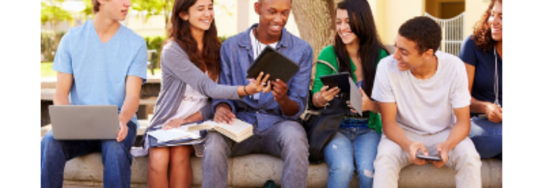 Michigan Virtual School
