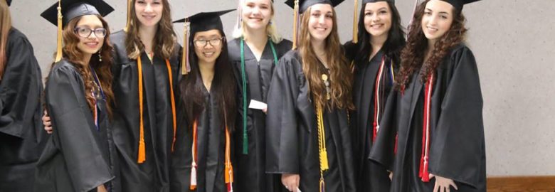 North Star Online School